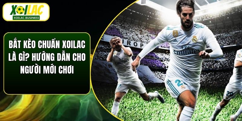 Bắt Kèo Chuẩn Xoilac Là Gì? Hướng Dẫn Cho Người Mới Chơi