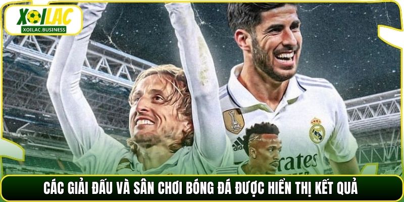 Các giải đấu và sân chơi bóng đá được hiển thị kết quả