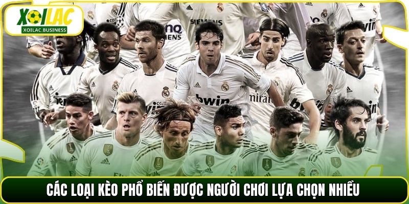 Các loại kèo phổ biến được người chơi lựa chọn nhiều