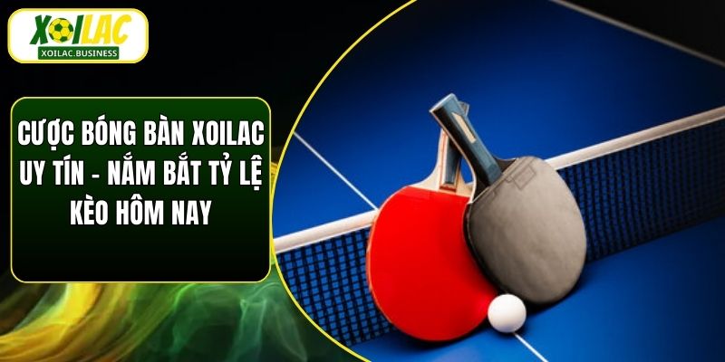 Cược Bóng Bàn Xoilac Uy Tín - Nắm Bắt Tỷ Lệ Kèo Hôm Nay