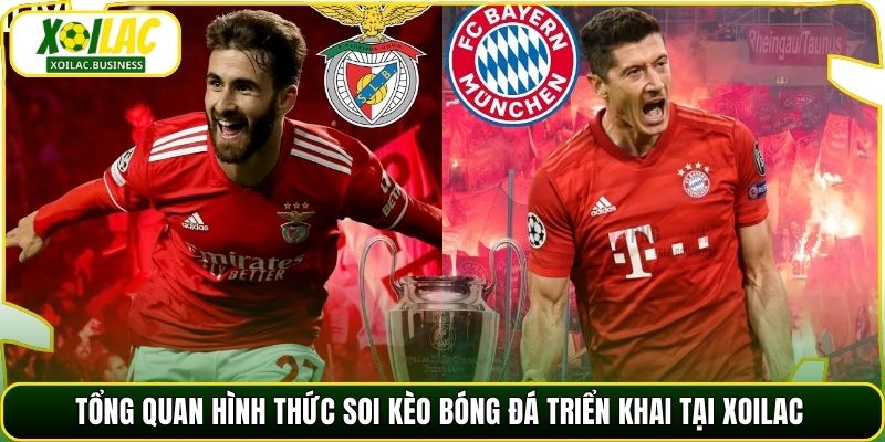 Tổng quan hình thức soi kèo bóng đá triển khai tại Xoilac