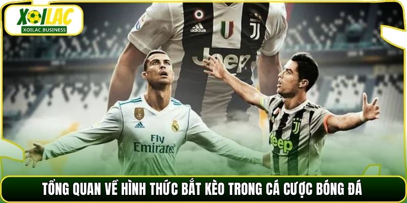 Tổng quan về hình thức bắt kèo trong cá cược bóng đá