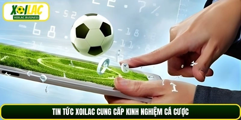 Tin tức Xoilac cung cấp kinh nghiệm cá cược
